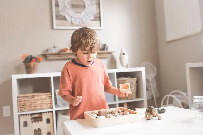 Playroom Organization